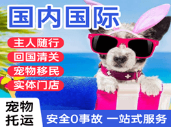 黄山屯溪航空运输国际宠物托运 【国